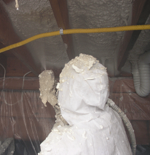 Iqaluit Nunavut crawl space insulation